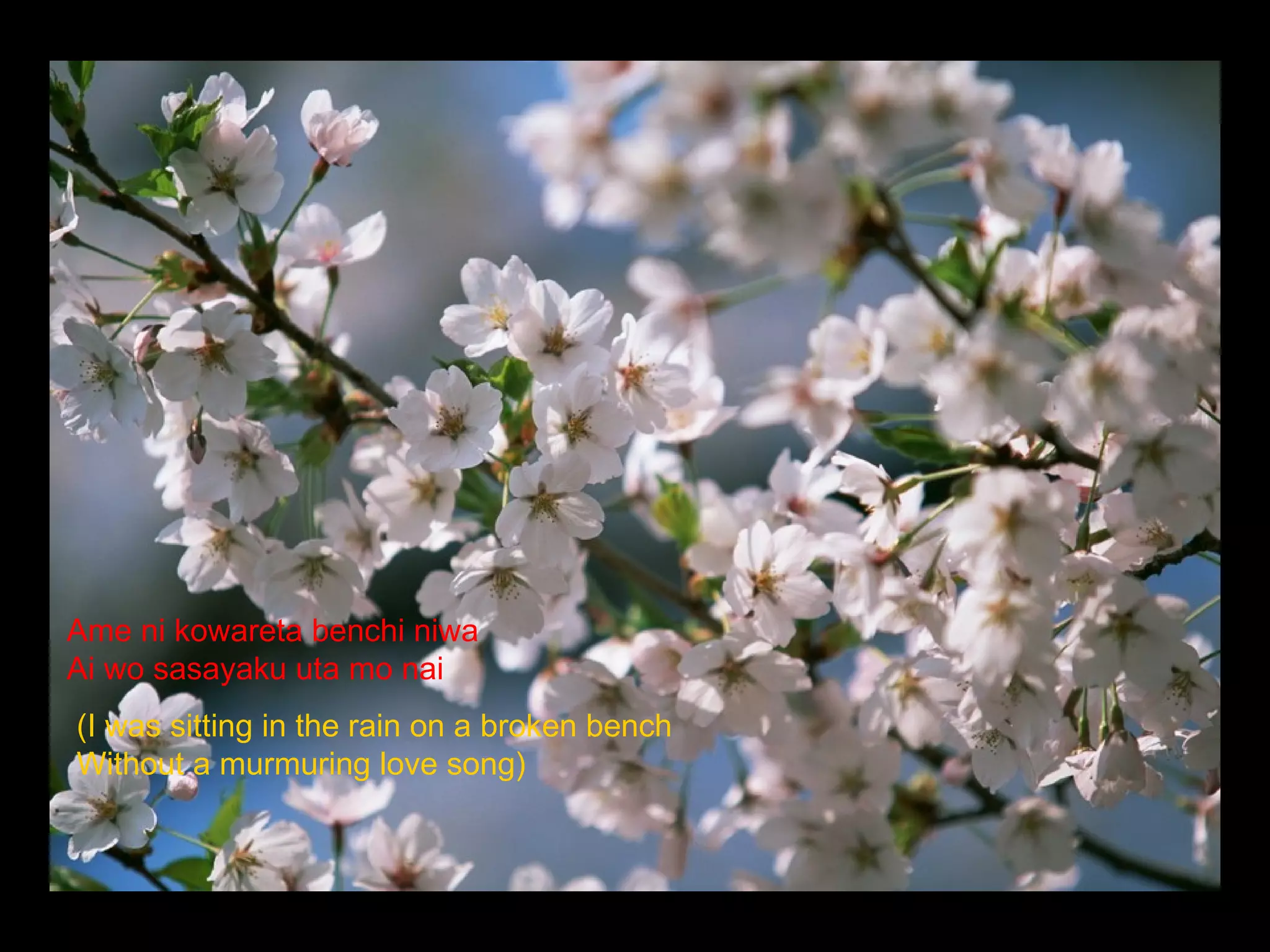 Ame ni kowareta benchi niwa Ai wo sasayaku uta mo nai (I was sitting in the rain on a broken bench Without a murmuring love song)  