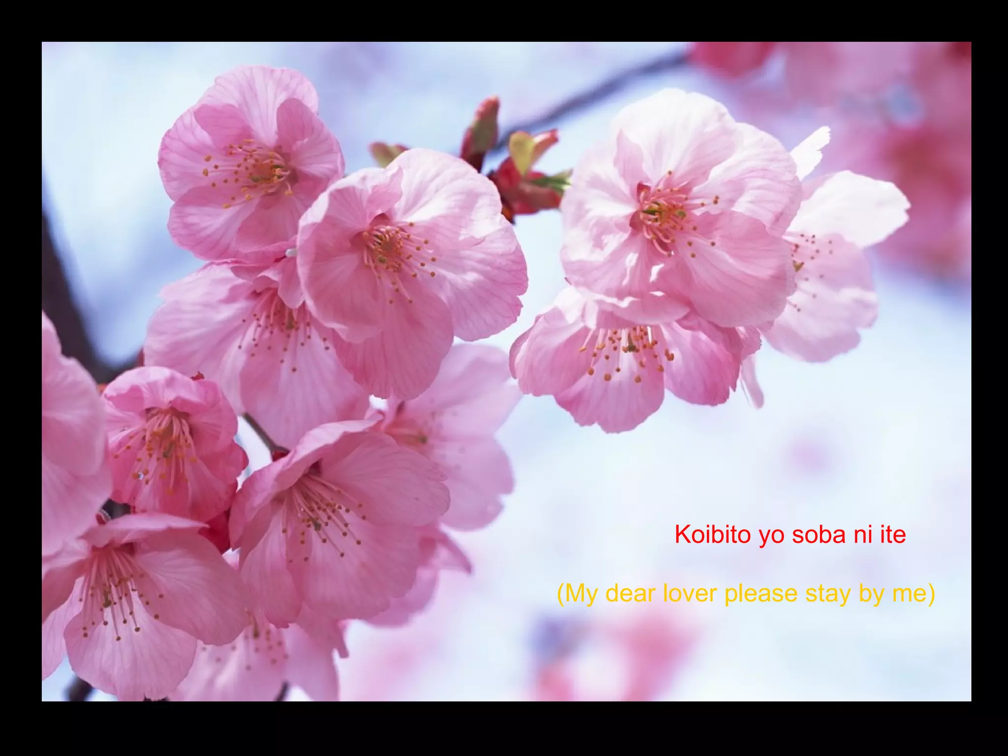 Koibito yo soba ni ite (My dear lover please stay by me) 