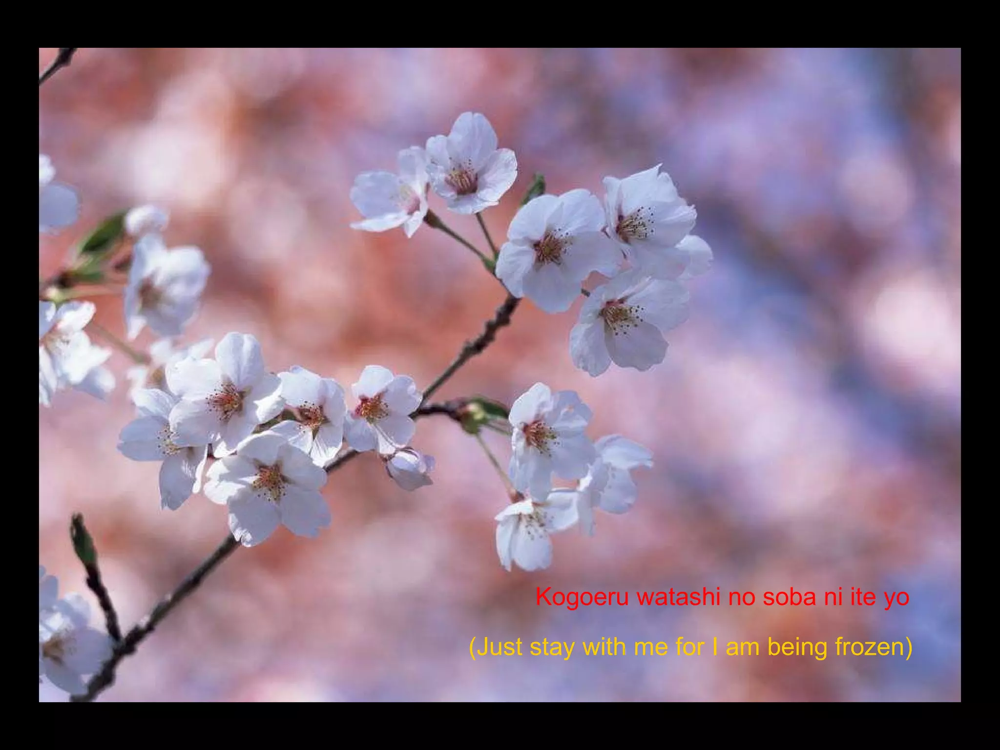 Kogoeru watashi no soba ni ite yo   (Just stay with me   for I am being frozen)   