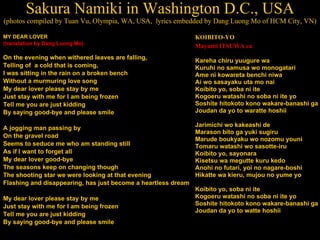 Sakura Namiki in Washington D.C., USA (photos compiled by Tuan Vu, Olympia, WA, USA,  lyrics embedded by Dang Luong Mo of HCM City, VN) ,[object Object],[object Object],[object Object],[object Object],[object Object],[object Object],[object Object],[object Object],[object Object],[object Object],[object Object],[object Object],[object Object],[object Object],[object Object],[object Object],[object Object],[object Object],[object Object],[object Object],[object Object],[object Object],[object Object],[object Object],[object Object],[object Object],[object Object],[object Object],[object Object],[object Object],[object Object],[object Object],[object Object],[object Object],[object Object],[object Object],[object Object],[object Object],[object Object],[object Object],[object Object],[object Object],[object Object],[object Object]