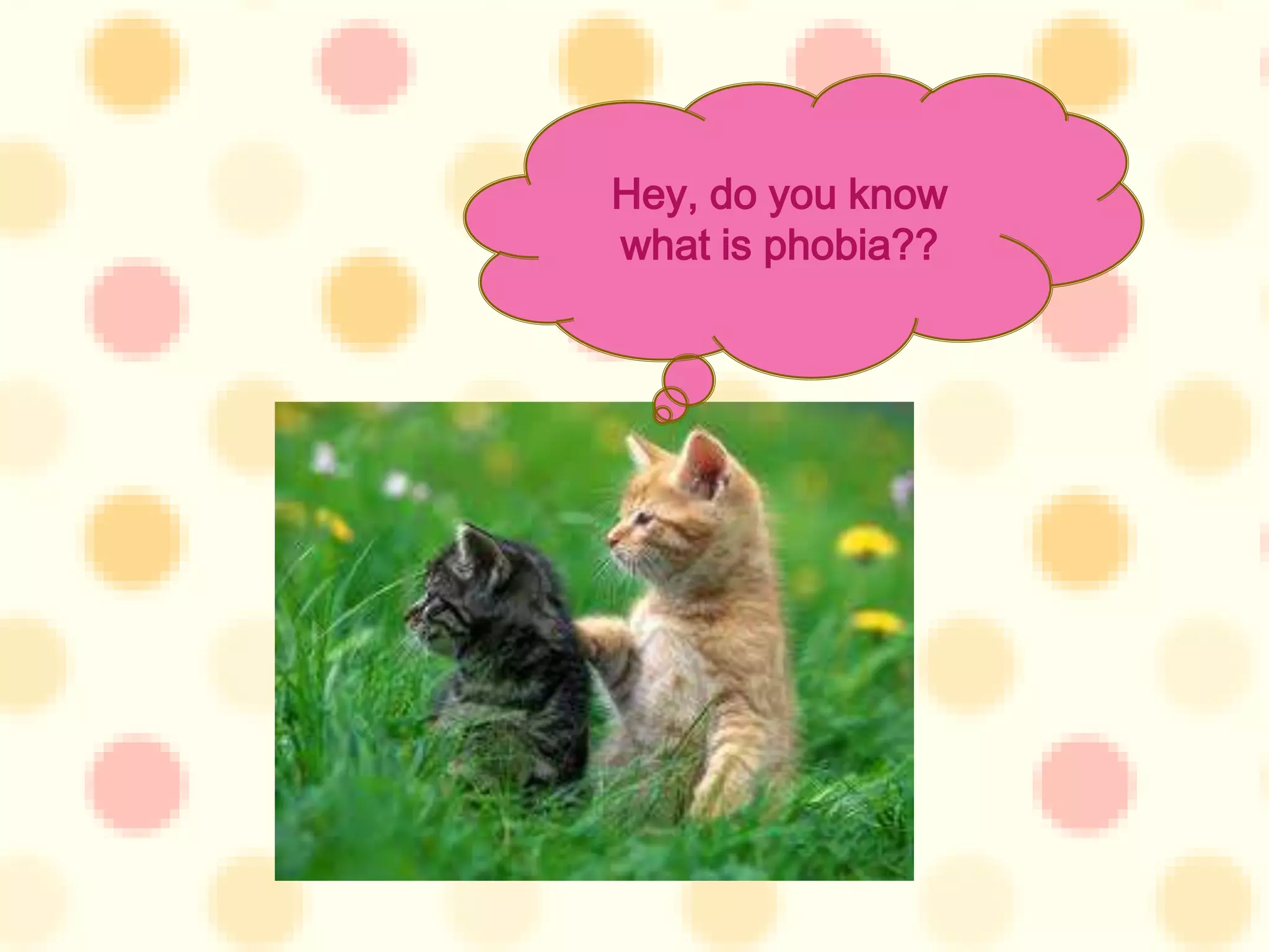 Hey, do you know
what is phobia??
 