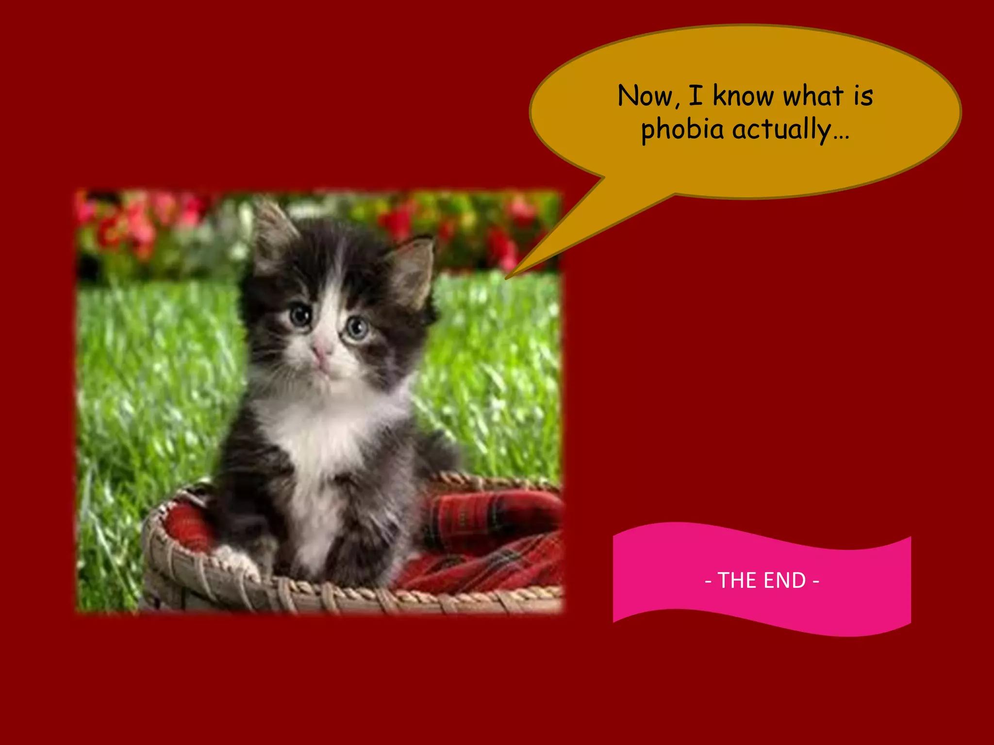 Now, I know what is
 phobia actually…




      - THE END -
 