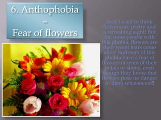 6. Anthophobia
–
Fear of flowers
And I used to think
flowers are pretty and
a refreshing sight! But
for some people with
this phobia, flowers are
their worst fears come
alive! Sufferers of this
phobia have a fear of
flowers or even of their
petals or stems, even
though they know that
flowers pose no danger
to them whatsoever!
 