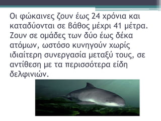 Οι φώκαινες ζουν έως 24 χρόνια και
καταδύονται σε βάθος μέχρι 41 μέτρα.
Ζουν σε ομάδες των δύο έως δέκα
ατόμων, ωστόσο κυνηγούν χωρίς
ιδιαίτερη συνεργασία μεταξύ τους, σε
αντίθεση με τα περισσότερα είδη
δελφινιών.
 