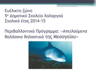 Ευέλικτη ζώνη
5ο Δημοτικό Σχολείο Χολαργού
Σχολικό έτος 2014-15
Περιβαλλοντικό Πρόγραμμα: «Απειλούμενα
θαλάσσια θηλαστικά της Μεσογείου»
 
