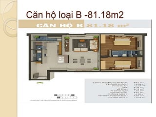 Căn hộ loại B -81.18m2
 
