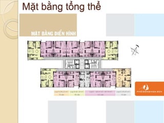 Mặt bằng tổng thể
 