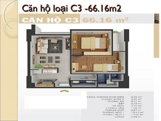 Căn hộ loại C3 -66.16m2
 
