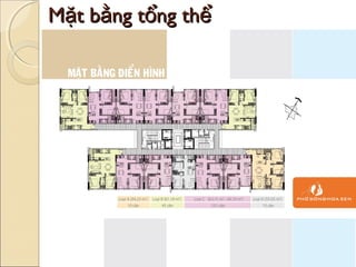Mặt bằng tổng thể
 