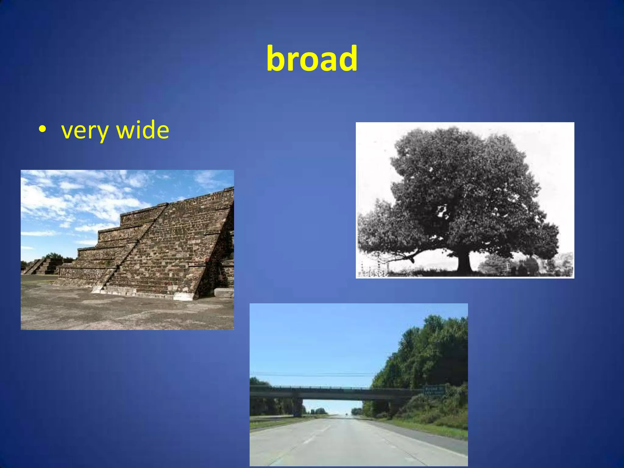 broad
• very wide
 