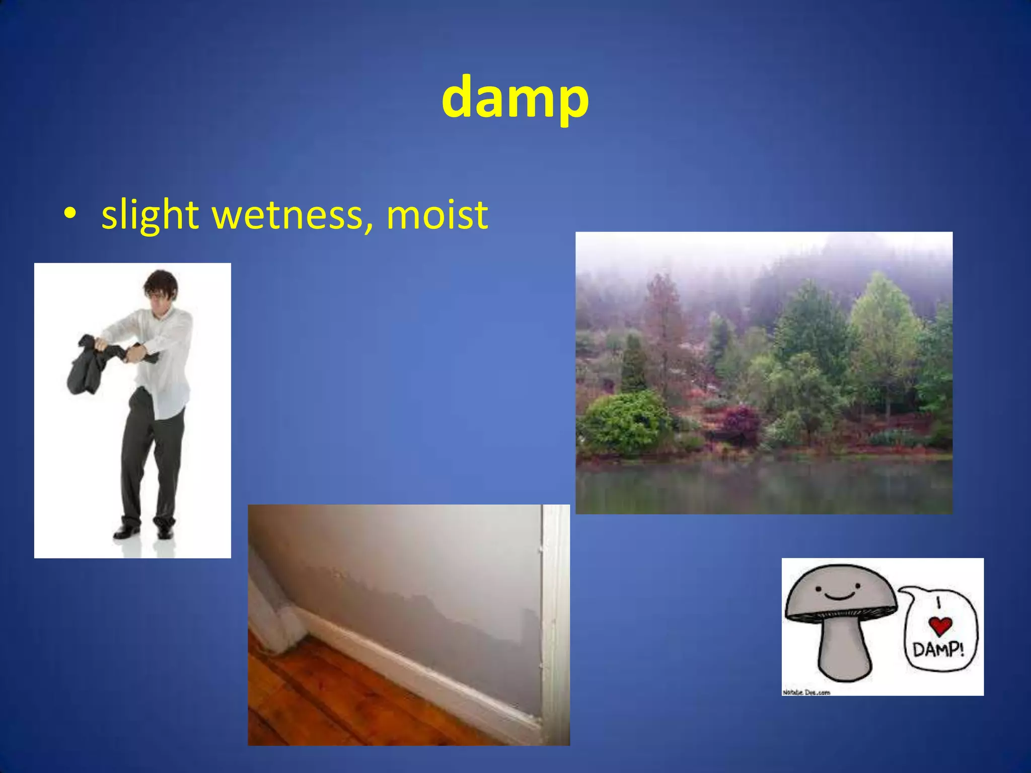 damp
• slight wetness, moist
 