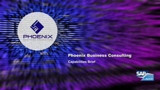 Phoenix Business Consulting
Capabilities Brief
 