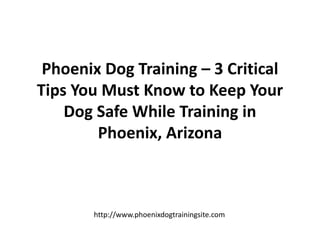 Phoenix Dog Training – 3 Critical Tips You Must Know to Keep Your Dog Safe While Training in Phoenix, Arizona 