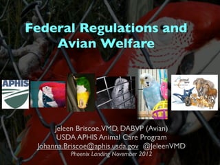 Federal Regulations and
Avian Welfare

Jeleen Briscoe,VMD, DABVP (Avian)
USDA APHIS Animal Care Program
Johanna.Briscoe@aphis.usda.gov @JeleenVMD
Phoenix Landing November 2012

 