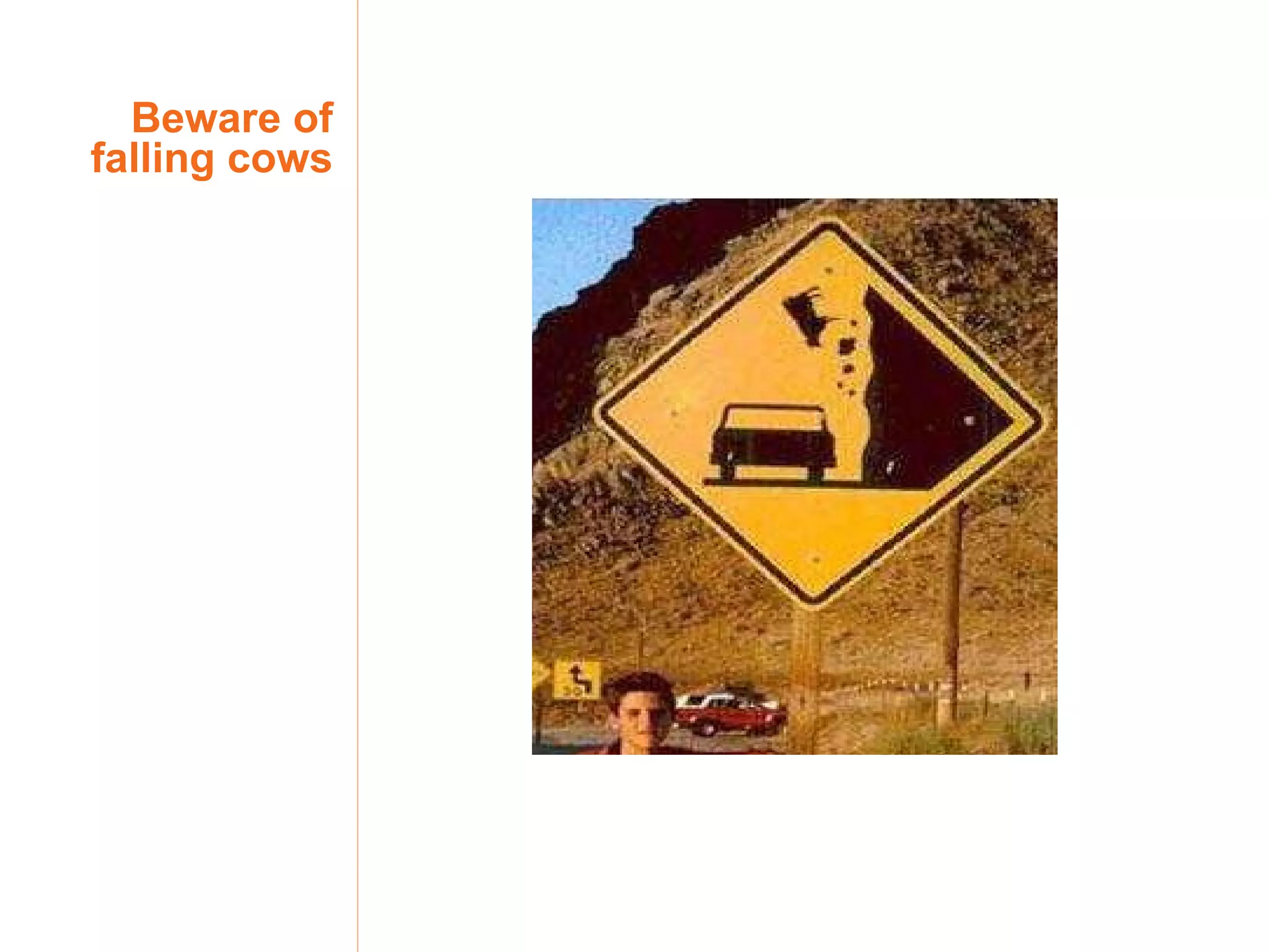 Beware of falling cows 