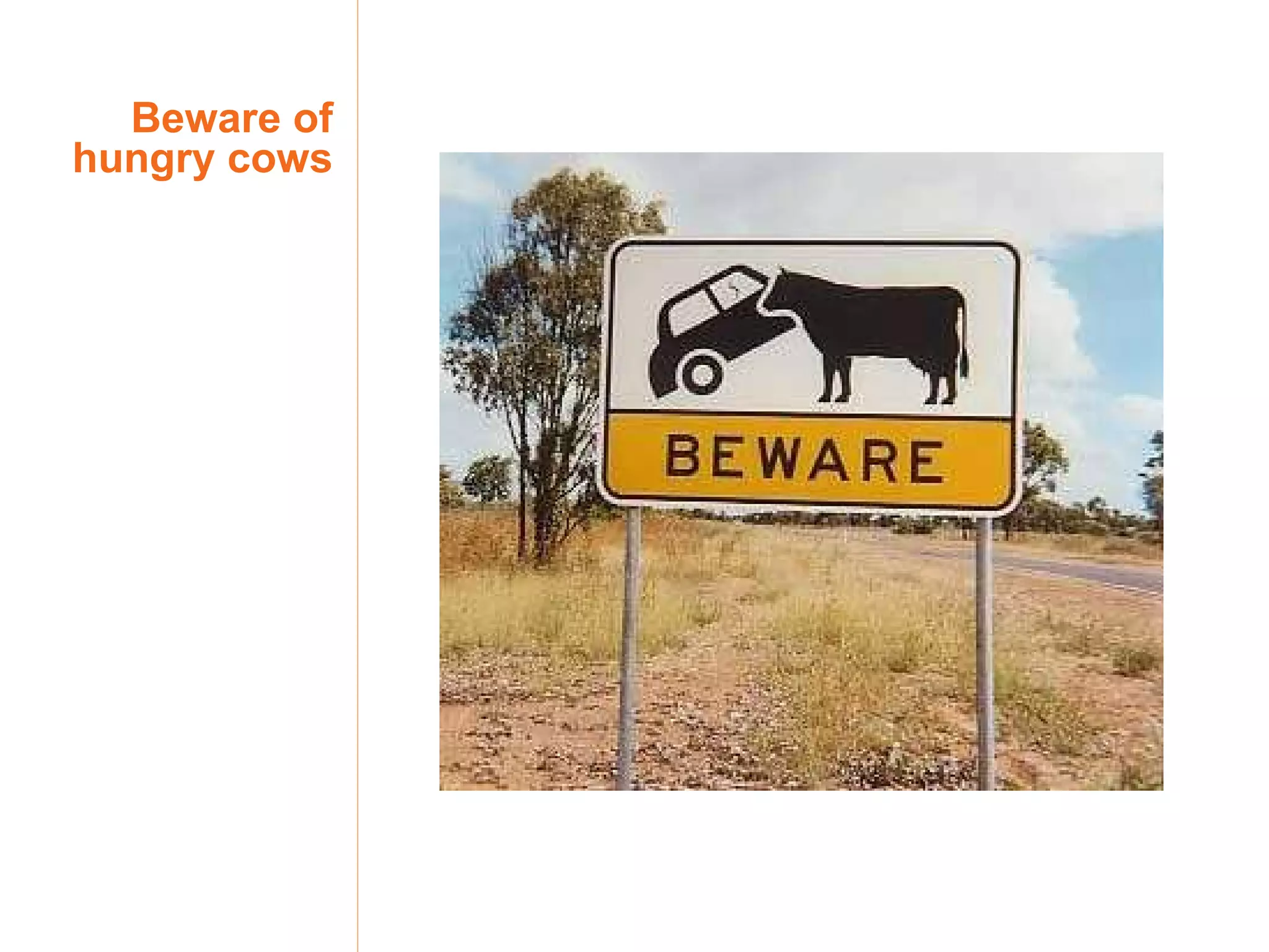Beware of hungry cows 