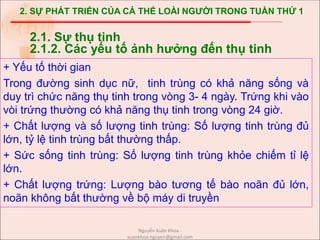 2. SỰ PHÁT TRIỂN CỦA CÁ THỂ LOÀI NGƯỜI TRONG TUẦN THỨ 1
+ Yếu tố thời gian
Trong đường sinh dục nữ, tinh trùng có khả năng sống và
duy trì chức năng thụ tinh trong vòng 3- 4 ngày. Trứng khi vào
vòi trứng thường có khả năng thụ tinh trong vòng 24 giờ.
+ Chất lượng và số lượng tinh trùng: Số lượng tinh trùng đủ
lớn, tỷ lệ tinh trùng bất thường thấp.
+ Sức sống tinh trùng: Số lượng tinh trùng khỏe chiếm tỉ lệ
lớn.
+ Chất lượng trứng: Lượng bào tương tế bào noãn đủ lớn,
noãn không bất thường về bộ máy di truyền
2.1. Sự thụ tinh
2.1.2. Các yếu tố ảnh hưởng đến thụ tinh
Nguyễn Xuân Khoa -
xuankhoa.nguyen@gmail.com
 
