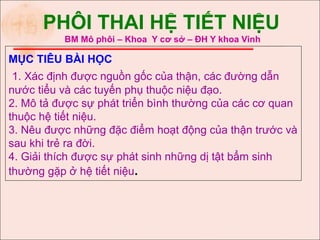 PHÔI THAI HỆ TIẾT NIỆU
BM Mô phôi – Khoa Y cơ sở – ĐH Y khoa Vinh
MỤC TIÊU BÀI HỌC
1. Xác định được nguồn gốc của thận, các đường dẫn
nước tiểu và các tuyến phụ thuộc niệu đạo.
2. Mô tả được sự phát triển bình thường của các cơ quan
thuộc hệ tiết niệu.
3. Nêu được những đặc điểm hoạt động của thận trước và
sau khi trẻ ra đời.
4. Giải thích được sự phát sinh những dị tật bẩm sinh
thường gặp ở hệ tiết niệu.
 