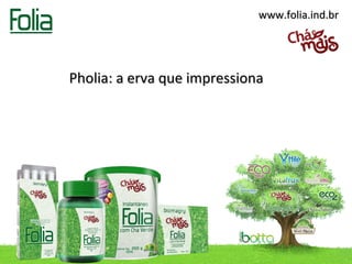 www.folia.ind.br




Pholia: a erva que impressiona
 