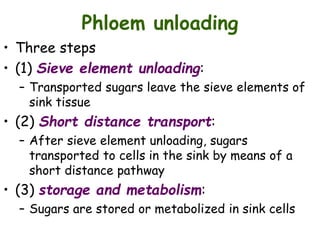 Phloem unloading
• Three steps
• (1) Sieve element unloading:
– Transported sugars leave the sieve elements of
sink tissue
• (2) Short distance transport:
– After sieve element unloading, sugars
transported to cells in the sink by means of a
short distance pathway
• (3) storage and metabolism:
– Sugars are stored or metabolized in sink cells
 