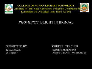 COLLEGE OFAGRICULTURAL TECHNOLOGY
( Affiliated to Tamil Nadu Agricultural University, Coimbatore-3)
Kullapuram (Po),ViaVaigai Dam, Theni-625 562
PHOMOPSIS BLIGHT IN BRINJAL
SUBMITTED BY COURSE TEACHER
K.NAGAVALLI Dr.PARTHASARATHY.S
2015021087 Asst,Prof.( PLANT PATHOLOGY)
 