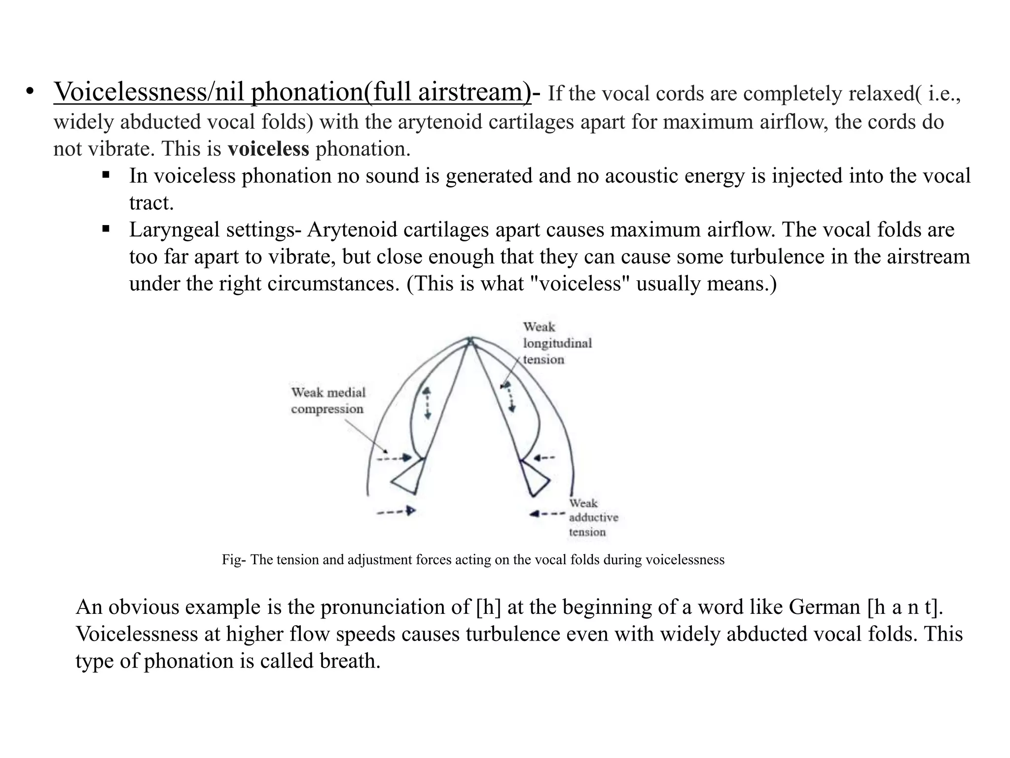 • Voicelessness/nil phonation(full airstream)- If the vocal cords are completely relaxed( i.e.,
widely abducted vocal folds) with the arytenoid cartilages apart for maximum airflow, the cords do
not vibrate. This is voiceless phonation.
 In voiceless phonation no sound is generated and no acoustic energy is injected into the vocal
tract.
 Laryngeal settings- Arytenoid cartilages apart causes maximum airflow. The vocal folds are
too far apart to vibrate, but close enough that they can cause some turbulence in the airstream
under the right circumstances. (This is what "voiceless" usually means.)
An obvious example is the pronunciation of [h] at the beginning of a word like German [h a n t].
Voicelessness at higher flow speeds causes turbulence even with widely abducted vocal folds. This
type of phonation is called breath.
Fig- The tension and adjustment forces acting on the vocal folds during voicelessness
 