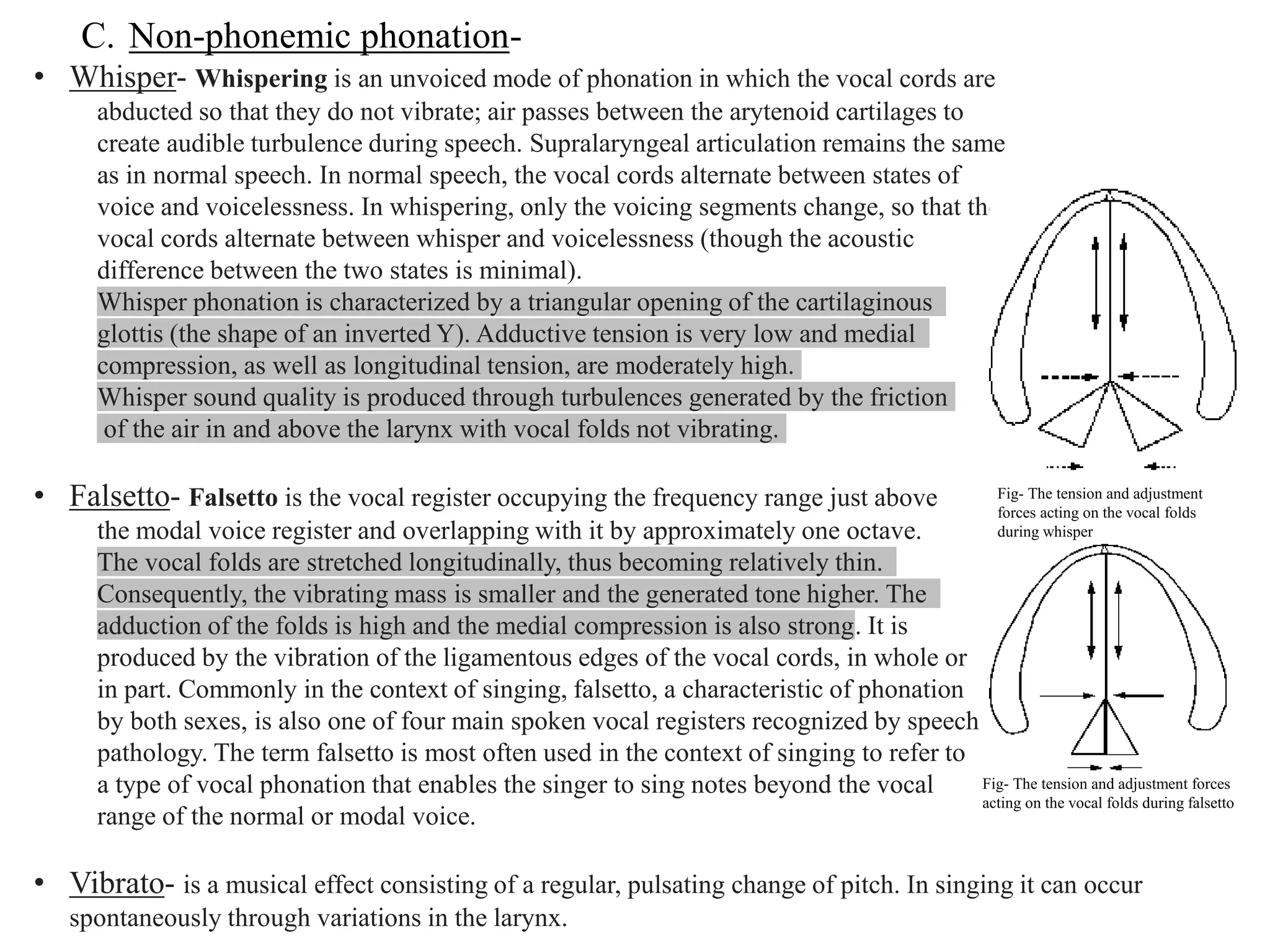 C. Non-phonemic phonation-
• Whisper- Whispering is an unvoiced mode of phonation in which the vocal cords are
abducted so that they do not vibrate; air passes between the arytenoid cartilages to
create audible turbulence during speech. Supralaryngeal articulation remains the same
as in normal speech. In normal speech, the vocal cords alternate between states of
voice and voicelessness. In whispering, only the voicing segments change, so that the
vocal cords alternate between whisper and voicelessness (though the acoustic
difference between the two states is minimal).
Whisper phonation is characterized by a triangular opening of the cartilaginous
glottis (the shape of an inverted Y). Adductive tension is very low and medial
compression, as well as longitudinal tension, are moderately high.
Whisper sound quality is produced through turbulences generated by the friction
of the air in and above the larynx with vocal folds not vibrating.
• Falsetto- Falsetto is the vocal register occupying the frequency range just above
the modal voice register and overlapping with it by approximately one octave.
The vocal folds are stretched longitudinally, thus becoming relatively thin.
Consequently, the vibrating mass is smaller and the generated tone higher. The
adduction of the folds is high and the medial compression is also strong. It is
produced by the vibration of the ligamentous edges of the vocal cords, in whole or
in part. Commonly in the context of singing, falsetto, a characteristic of phonation
by both sexes, is also one of four main spoken vocal registers recognized by speech
pathology. The term falsetto is most often used in the context of singing to refer to
a type of vocal phonation that enables the singer to sing notes beyond the vocal
range of the normal or modal voice.
• Vibrato- is a musical effect consisting of a regular, pulsating change of pitch. In singing it can occur
spontaneously through variations in the larynx.
Fig- The tension and adjustment
forces acting on the vocal folds
during whisper
Fig- The tension and adjustment forces
acting on the vocal folds during falsetto
 