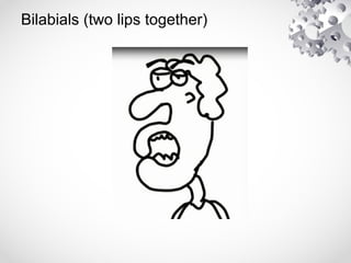 Speech Processes (Phonation and Articulation) | PPT