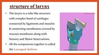 • The larynx is a tube like structure
with complex band of cartilages
connected by ligaments and muscles
& connecting membranes covered by
mucous membrane along with
Sensory and Motor Innervations.
• All the components together is called
the Laryngeal skeleton
structure of larynx
https://thumbs.gfycat.com/ZanyThoseArgusfish-size_restricted.gif
Click here for Video
 