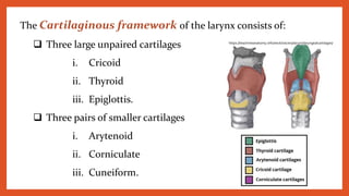 The Cartilaginous framework of the larynx consists of:
 Three large unpaired cartilages
i. Cricoid
ii. Thyroid
iii. Epiglottis.
 Three pairs of smaller cartilages
i. Arytenoid
ii. Corniculate
iii. Cuneiform.
https://teachmeanatomy.info/neck/viscera/larynx/laryngealcartilages/
 