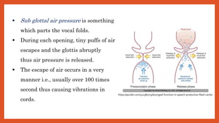  Sub glottal air pressure is something
which parts the vocal folds.
 During each opening, tiny puffs of air
escapes and the glottis abruptly
thus air pressure is released.
 The escape of air occurs in a very
manner i.e., usually over 100 times
second thus causing vibrations in
cords.
https://quizlet.com/321380713/laryngeal-function-in-speech-production-flash-cards/
 
