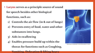 • Larynx serves as a principle source of sound
for speech besides other biological
functions, such as:
1) Controls the air flow (in & out of lungs)
2) Prevents entry of food, water and other
substances into lungs.
3) Aids in swallowing
4) Enables pressure build up within the
thorax for functions such as Coughing,
Vomiting, Defecation & lifting heavy
https://www.norellehealth.com/conditions/larynx-cancer/
 