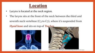 • Larynx is located at the neck region.
• The larynx sits at the front of the neck between the third and
seventh neck vertebrae (C3 to C7), where it’s suspended from
Hyoid bone and sits on top of Trachea.
Location
https://www.verywellhealth.com/larynx-anatomy-4845379 https://www.visiblebody.com/blog/anatomy-and-physiology-phonation-and-the-larynx
 