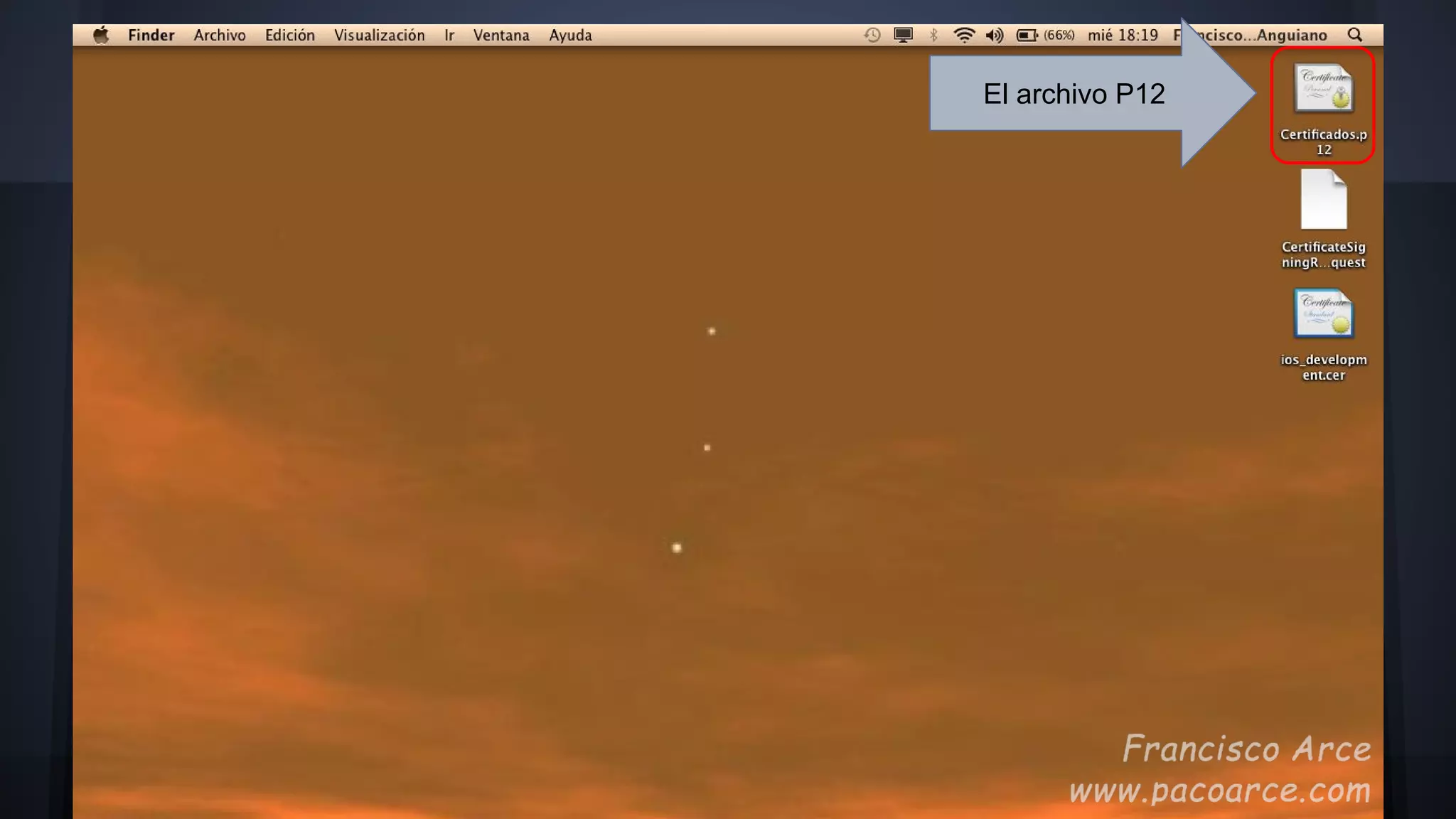 El archivo P12