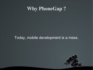 Why PhoneGap ? Today, mobile development is a mess. 