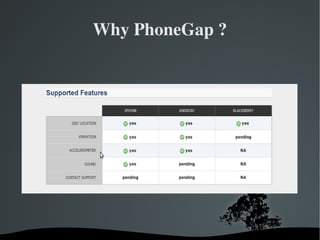 Why PhoneGap ? 
