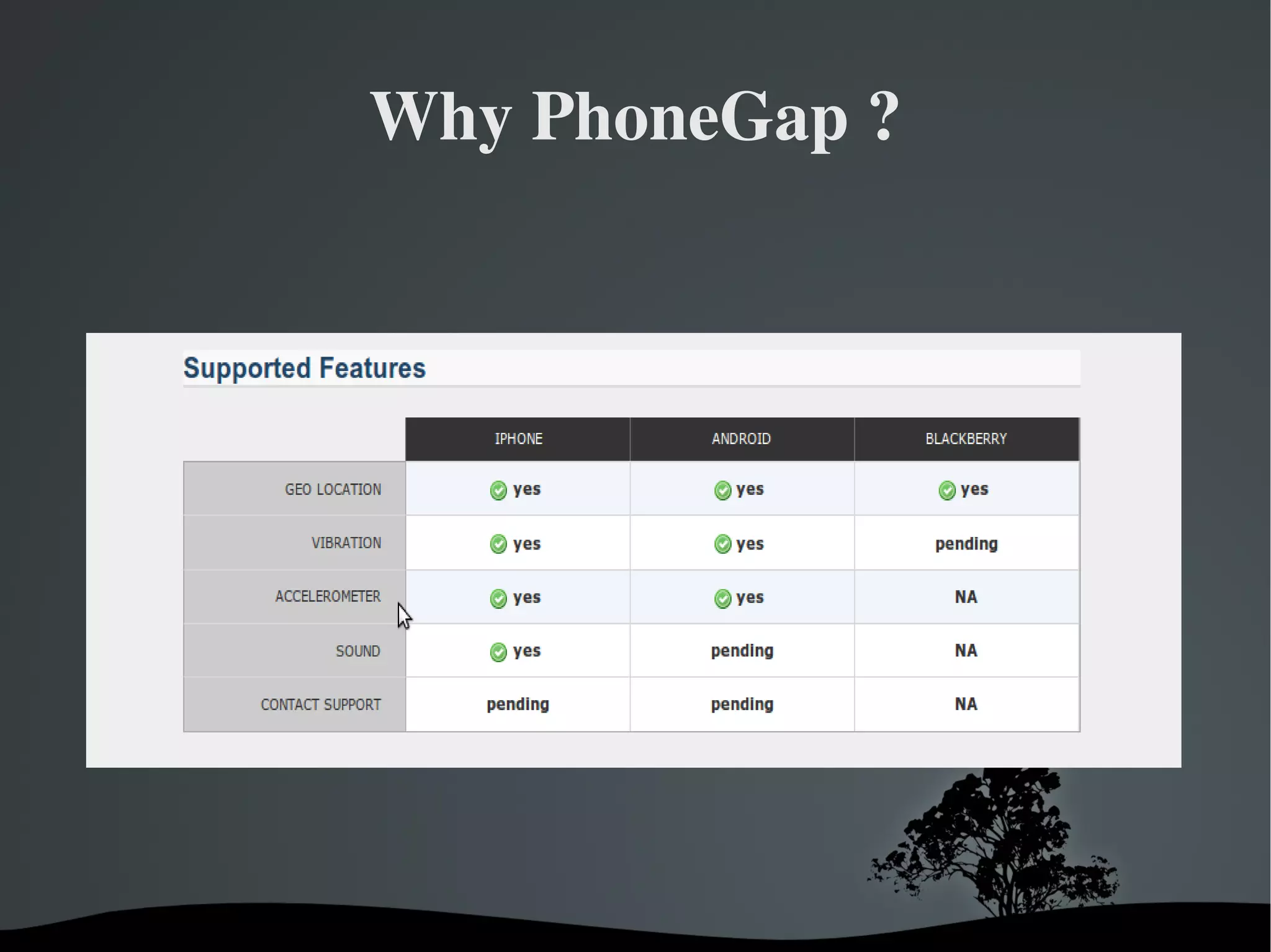 Why PhoneGap ? 