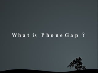 What is PhoneGap ? 