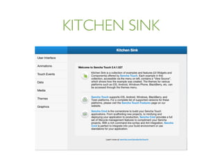 KITCHEN SINK
 