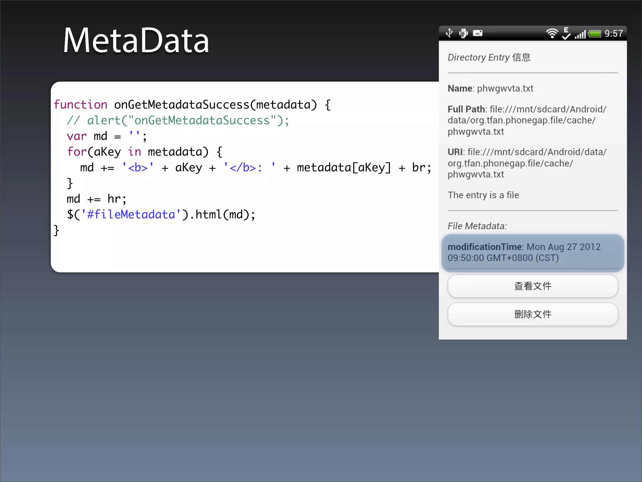 MetaData
function onGetMetadataSuccess(metadata) {
  // alert("onGetMetadataSuccess");
  var md = '';
  for(aKey in metadata) {
    md += '<b>' + aKey + '</b>: ' + metadata[aKey] + br;
  }
  md += hr;
  $('#fileMetadata').html(md);
}
 