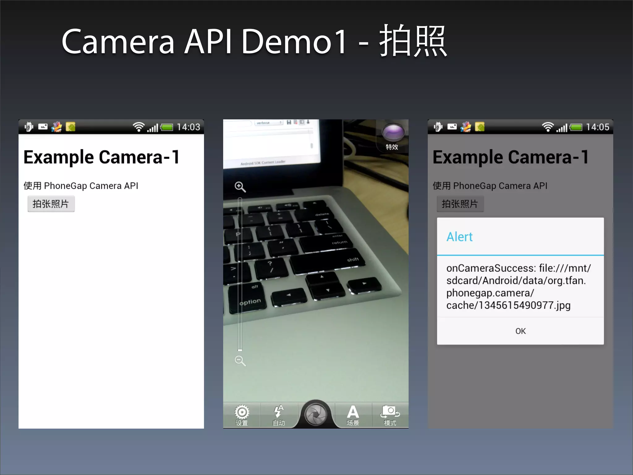 Camera API Demo1 - 拍照
 