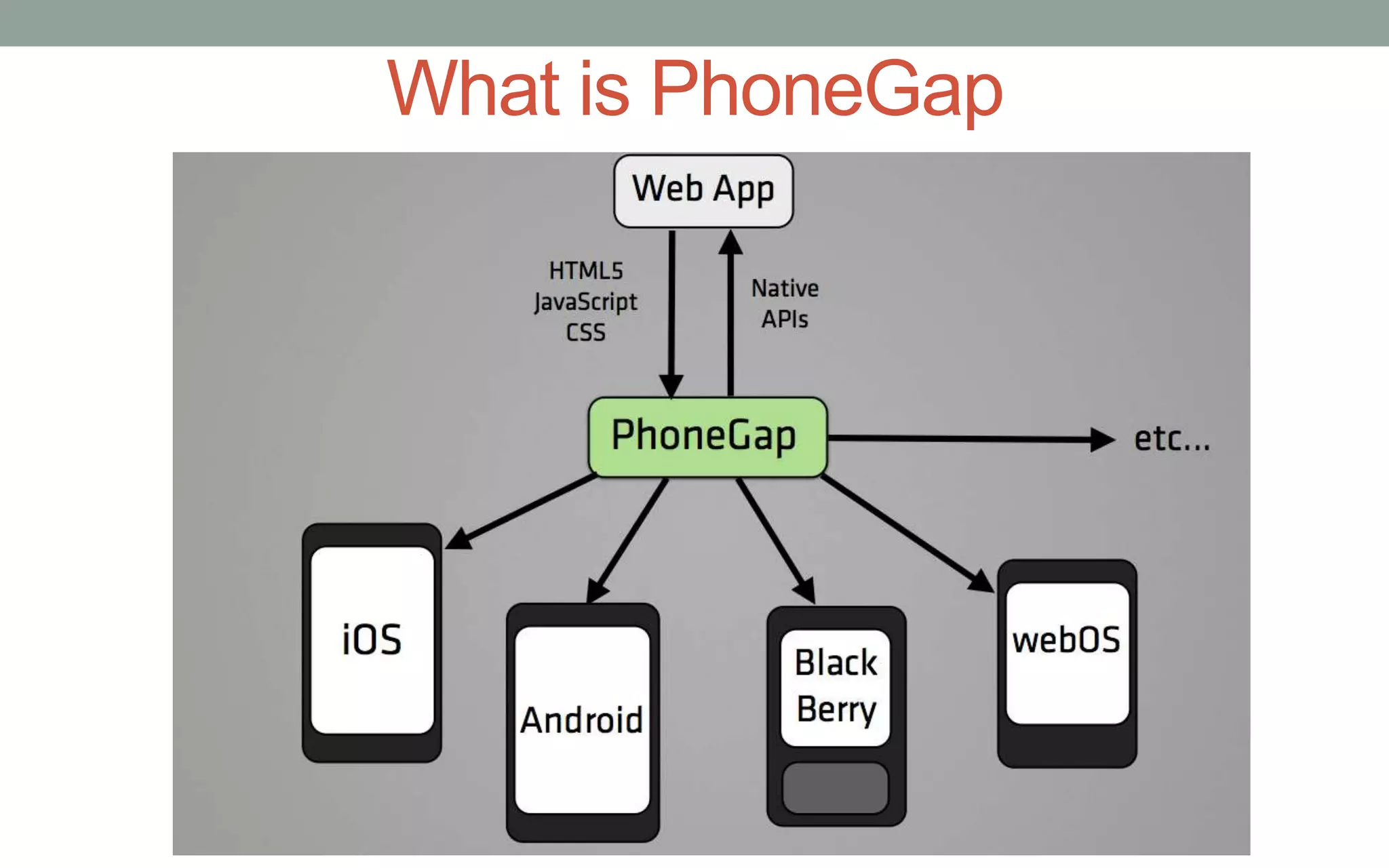 What is PhoneGap
