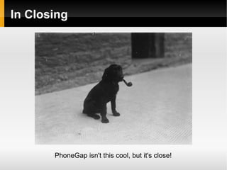 HTML/CSS/JS is a framework we all know, so we don't need to learn Obj-C or Java to write applications 