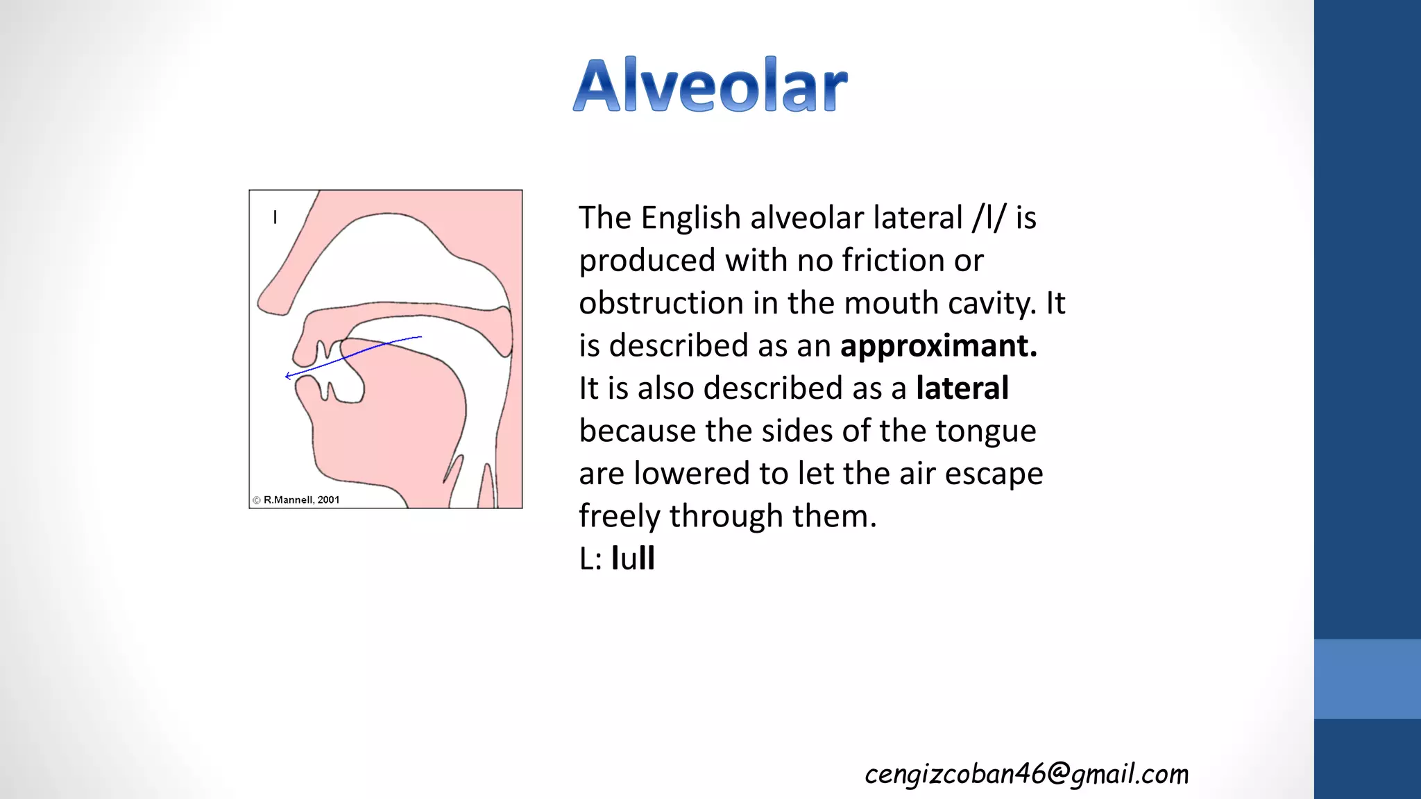 The English alveolar lateral /l/ is
produced with no friction or
obstruction in the mouth cavity. It
is described as an approximant.
It is also described as a lateral
because the sides of the tongue
are lowered to let the air escape
freely through them.
L: lull
cengizcoban46@gmail.com
 