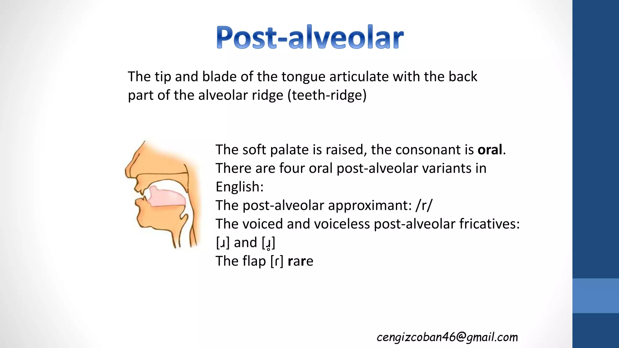 cengizcoban46@gmail.com
The tip and blade of the tongue articulate with the back
part of the alveolar ridge (teeth-ridge)
The soft palate is raised, the consonant is oral.
There are four oral post-alveolar variants in
English:
The post-alveolar approximant: /r/
The voiced and voiceless post-alveolar fricatives:
[ɹ] and [ɹ̥]
The flap [ɾ] rare
 