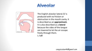 The English alveolar lateral /l/ is
produced with no friction or
obstruction in the mouth cavity. It
is described as an approximant.
It is also described as a lateral
because the sides of the tongue
are lowered to let the air escape
freely through them.
L: lull
cengizcoban46@gmail.com
 
