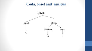 Coda, onset and nucleus
syllable
onset rhyme
Nucleus coda
C
a t
 