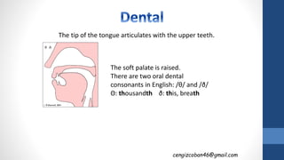 The tip of the tongue articulates with the upper teeth.
The soft palate is raised.
There are two oral dental
consonants in English: /θ/ and /ð/
Θ: thousandth ð: this, breath
cengizcoban46@gmail.com
 