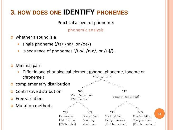 Phoneme and feature theory
