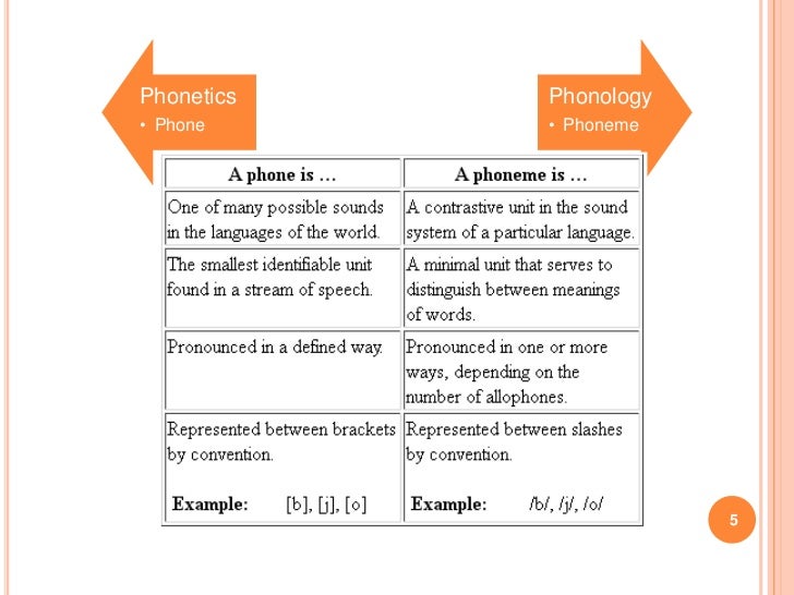 phoneme phonology